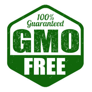 GMO Stamp