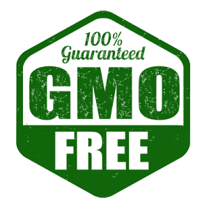 GMO Stamp