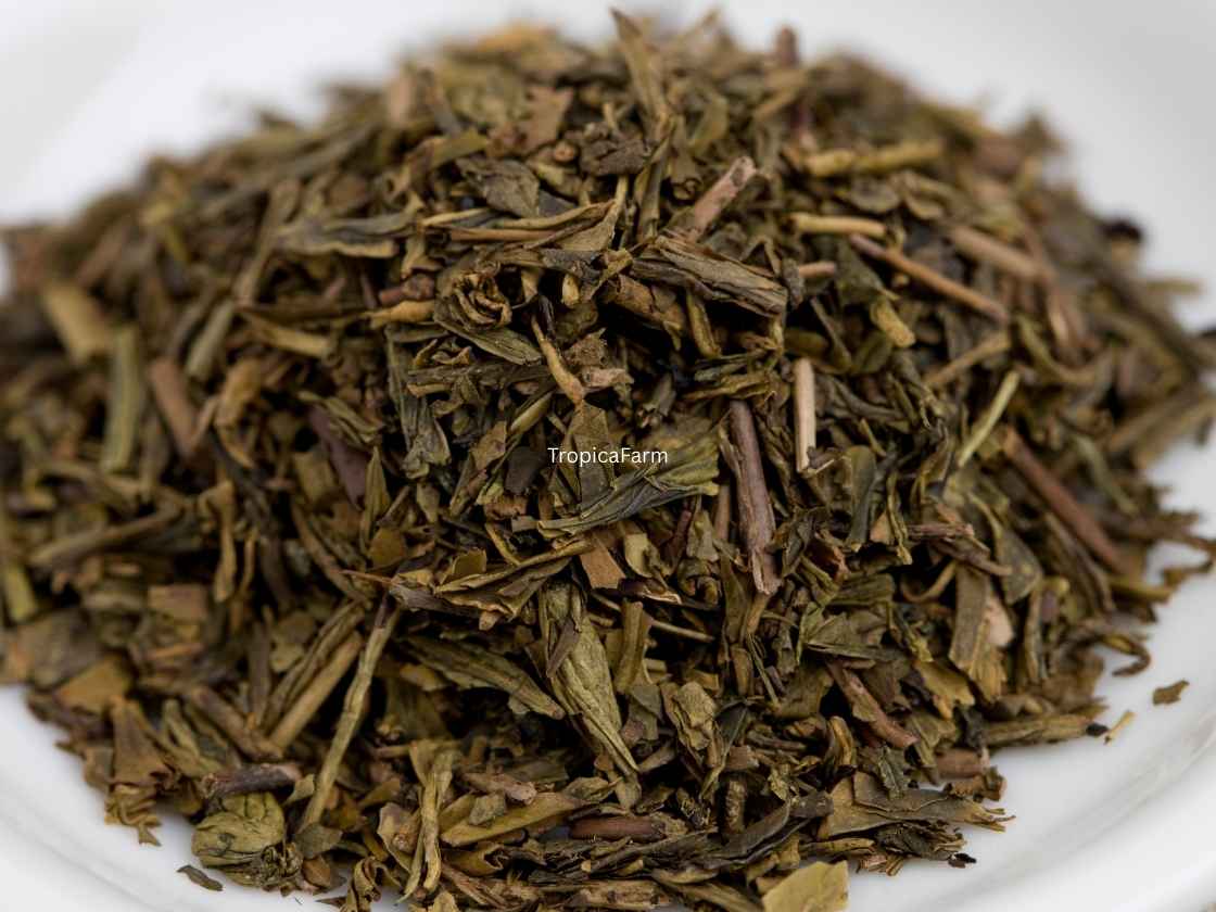 Premium Indonesian Green Tea - Main View