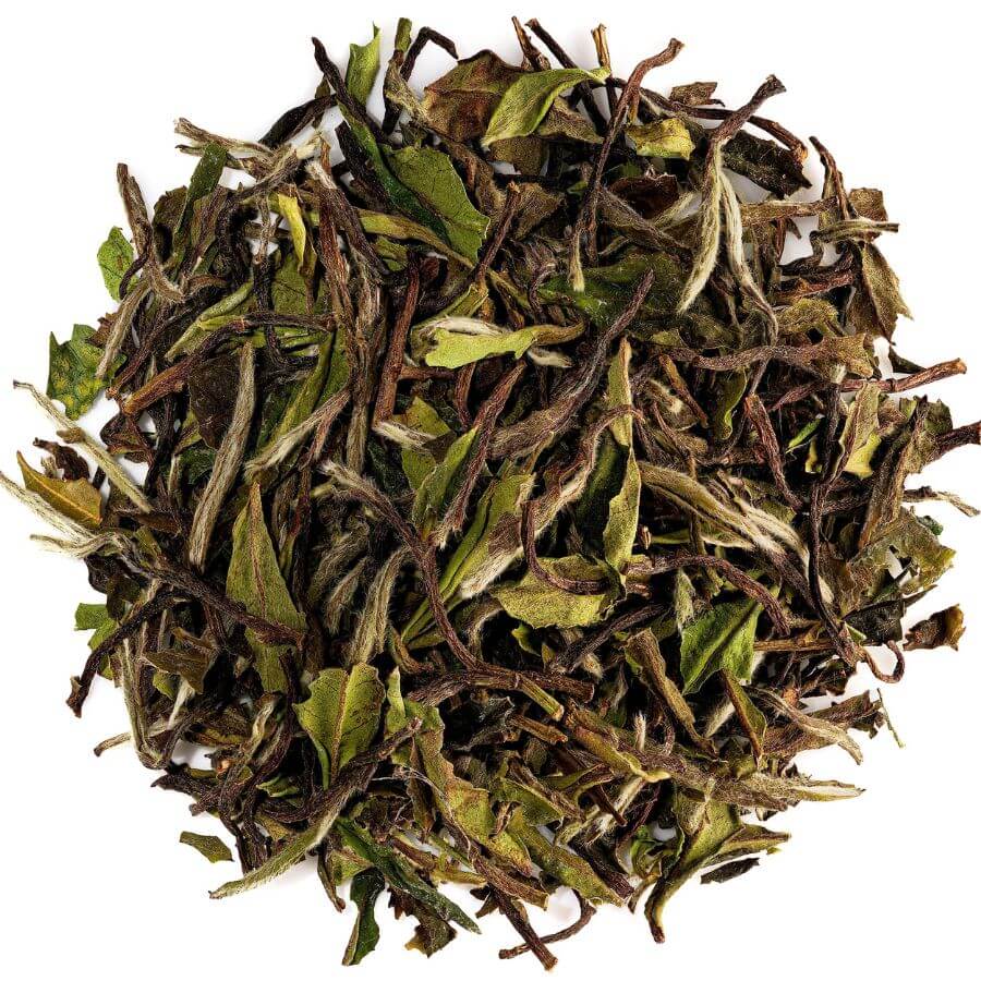 Specialty Tea Closeup